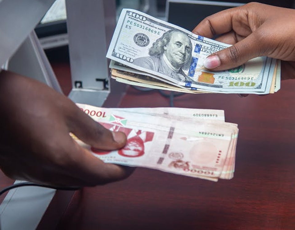 Financial Institution & Services