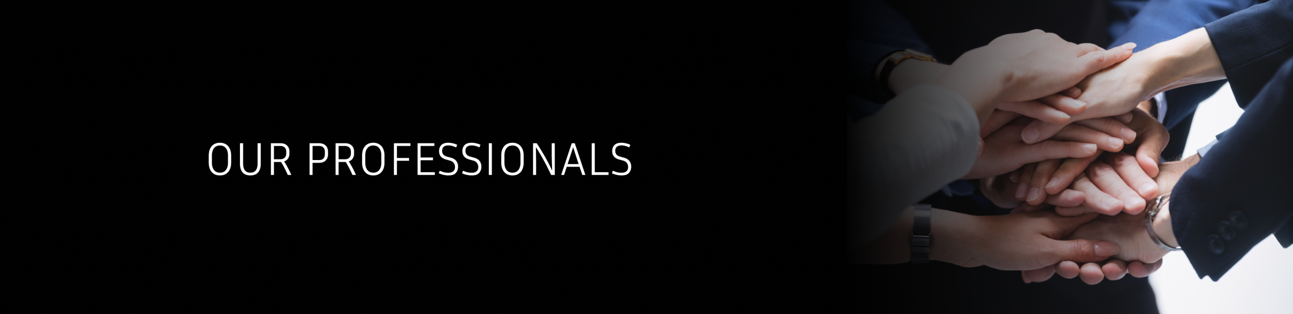 OUR PROFESSIONALS Banner
